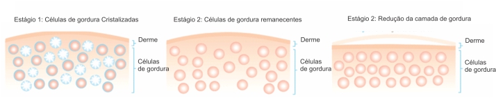 ilustracao crio redux